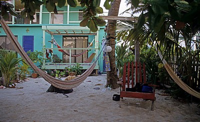 Tina's Backpacker's: Garten - Caye Caulker