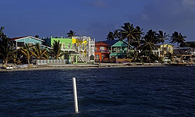 Blick auf die Häuser am Strand - Caye Caulker