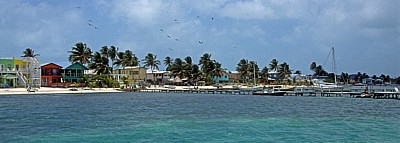 Blick auf die Häuser am Strand - Caye Caulker