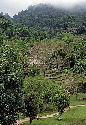 Blick von El Palacio (Palast): Templo del Conte (Tempel des Grafen) - Palenque