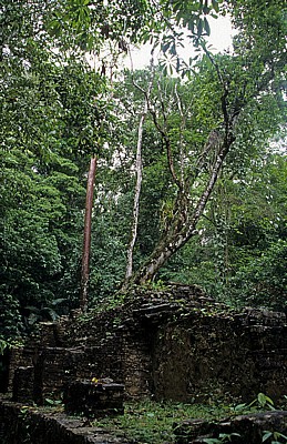 Grupo A (Gruppe A) - Palenque