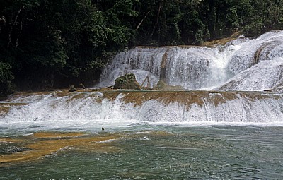 Reserva Biósfera Cascadas Agua Azul: Cascadas - Agua Azul