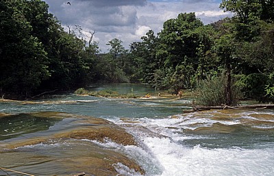 Reserva Biósfera Cascadas Agua Azul: Rio Yax - Agua Azul