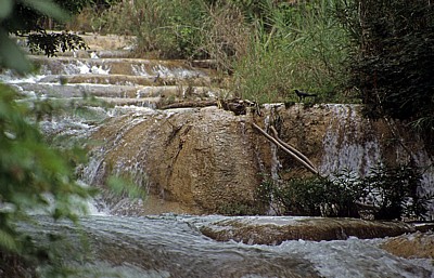 Reserva Biósfera Cascadas Agua Azul: Vogel an den Cascadas - Agua Azul