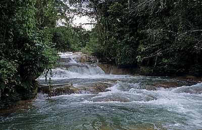 Reserva Biósfera Cascadas Agua Azul: Cascadas - Agua Azul
