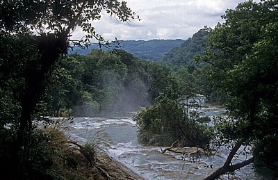 Reserva Biósfera Cascadas Agua Azul: Cascadas - Agua Azul