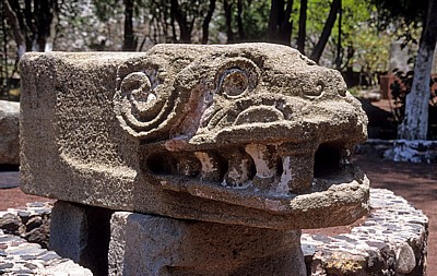 Schlangenkopf - Teotihuacán