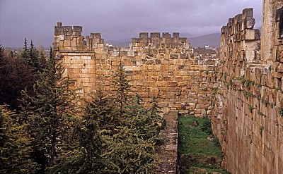 Nordzwinger - Baalbek