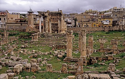 Tempel der Venus - Baalbek