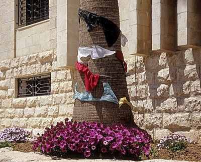 Geschmückter Palmenstamm - Kerak