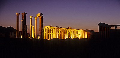 Große Kolonnadenstraße - Palmyra