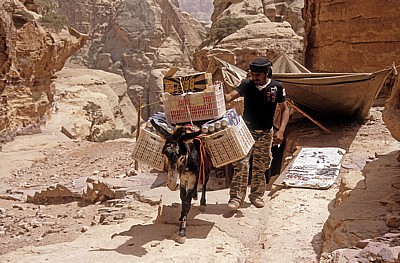 Die Waren für die Bar bei ed-Deir müssen mit dem Esel transportiert werden - Petra