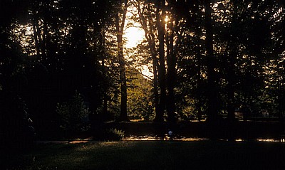 Schloßpark Pillnitz: Englischer Garten - Dresden