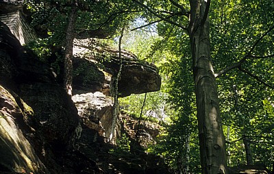 Bastei - Sächsische Schweiz