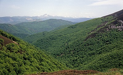 Jakobsweg (Navarrischer Weg): Landschaft - Pyrenäen