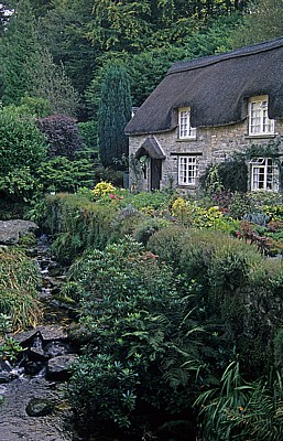 Cottage - Buckland-in-the-Moor