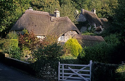 Cottages - Buckland-in-the-Moor