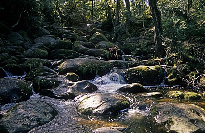 Wasserfall - Exmoor