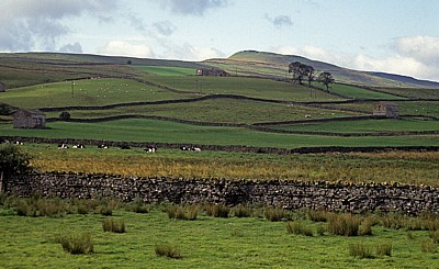 Typische Landschaft der Dales - Yorkshire Dales