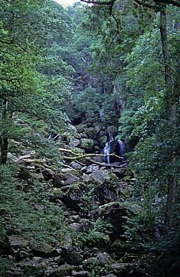 Lodore Falls (Wasserfall) - Lake District