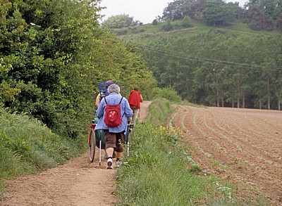 Jakobsweg (Navarrischer Weg): Pilger - Navarra