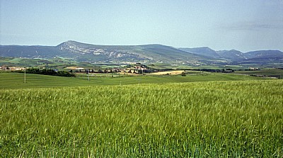 Jakobsweg (Navarrischer Weg): Landschaft zwischen Cizur Menor und Zaraquiegui - Navarra