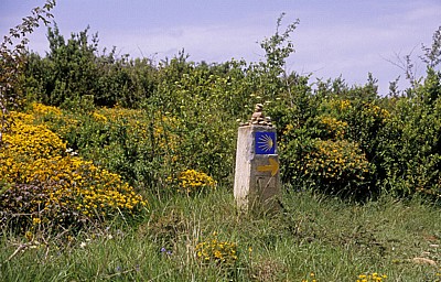 Jakobsweg (Navarrischer Weg): Wegweiser für den Camino - Sierra del Perdón