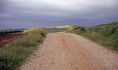 Jakobsweg (Camino Francés): Zwischen Villamayor de Monjardín und Los Arcos - Navarra