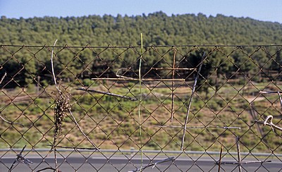 Jakobsweg (Camino Francés): Zwischen Logroño und Navarrete - La Rioja