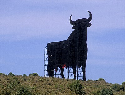 Jakobsweg (Camino Francés): Zwischen Logroño und Navarrete - Osborne-Stier - La Rioja