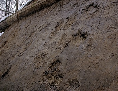 Barkhausen: Dinosaurierfährten  - Bad Essen