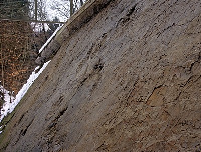 Barkhausen: Dinosaurierfährten  - Bad Essen