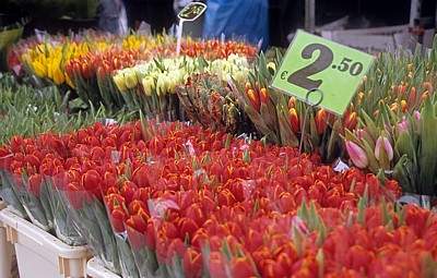 Markt: Tulpenstand - Enschede