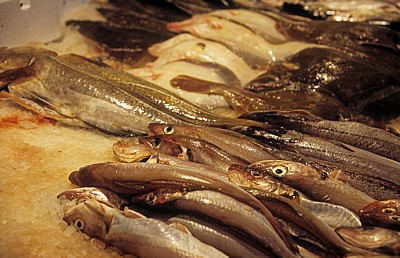 Markt: Frische Fische - Enschede