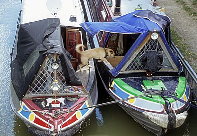 Grand Union Canal Leicester Line: Narrowboats - Crick