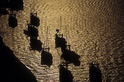 Rabelos auf dem Douro im Abendlicht - Vila Nova de Gaia