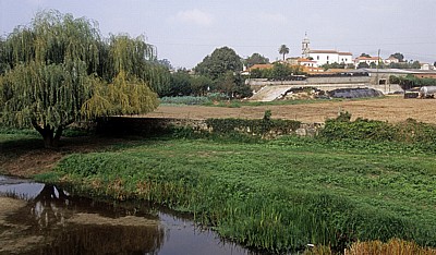 Jakobsweg (Caminho Português): Blick auf den Ort mit der Kirche São Miguel de Arcos - Arcos