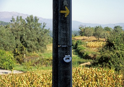 Jakobsweg (Caminho Português): Jakobsmuschel und gelber Pfeil zeigen den Weg - Albergaria