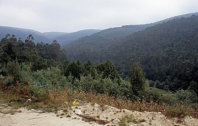 Jakobsweg (Caminho Português): Aufstieg - Labruja-Tal