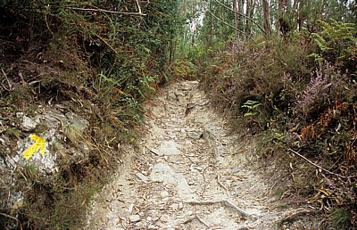 Jakobsweg (Caminho Português): Aufstieg - Labruja-Tal