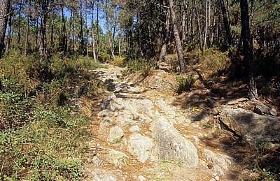 Jakobsweg (Caminho Português): Aufstieg zur Portela Grande - Labruja-Tal