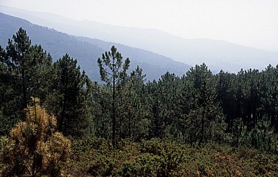Jakobsweg (Caminho Português): Blick ins Tal - Labruja-Tal