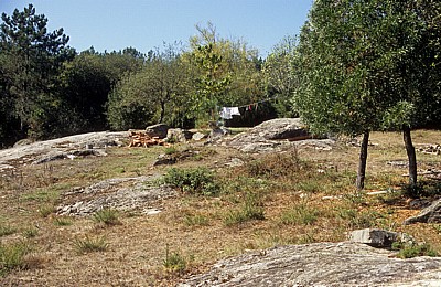 Jakobsweg (Caminho Português): Alto Portela Grande (435 m über NN)  - Portela Grande