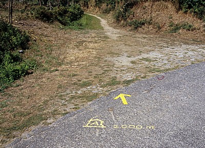 Jakobsweg (Caminho Português): Hinweis auf der Straße  - Coura-Tal