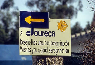 Jakobsweg (Caminho Português): Hinweisschild mit gelbem Pfeil und Jakobsmuschel - Distrito de Viana do Castelo