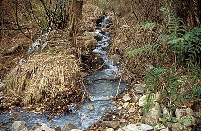 Jakobsweg (Caminho Português): Kleiner Bachlauf - Distrito de Viana do Castelo