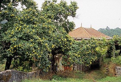 Jakobsweg (Caminho Português): Wohnhaus - Fontoura