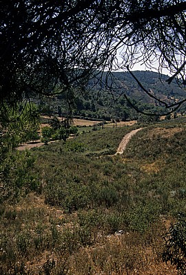 Hinterland - Distrito de Bragança