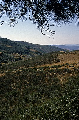 Hinterland - Distrito de Bragança