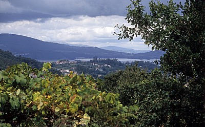 Jakobsweg (Caminho Português): Blick auf Ría de Vigo - Pontevedra